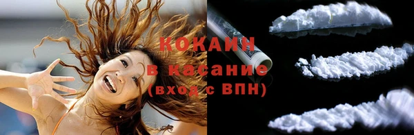бошки Белокуриха