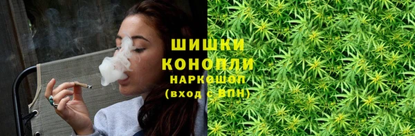 бошки Белокуриха