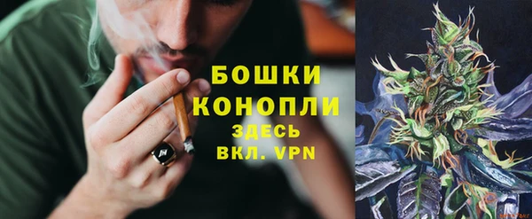 бошки Белокуриха