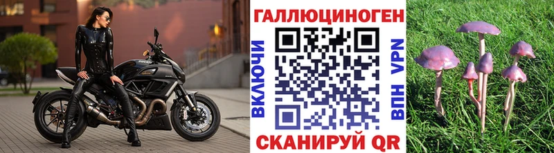 omg цены Воркута Псилоцибиновые грибы Psilocybe